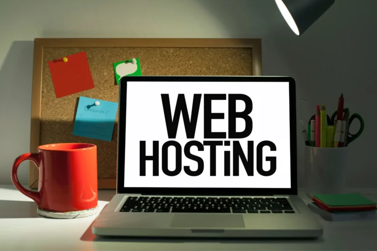 Website Hosting Setup